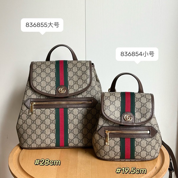 gucci bag